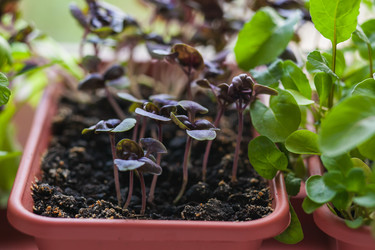 Similar image 22364185