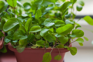 Similar image 22364186