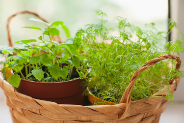 Similar image 22364200