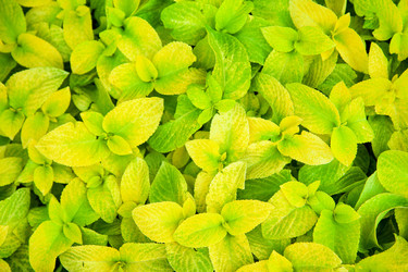 Similar image 22364245