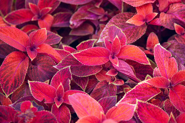 Similar image 22364275