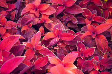 Similar image 22364276