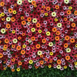 Similar image 22390825