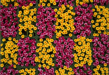 Similar image 22390842