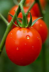 Similar image 22390854