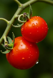 Similar image 22390887