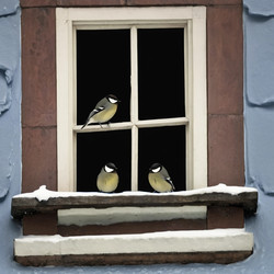 Similar image 22390963