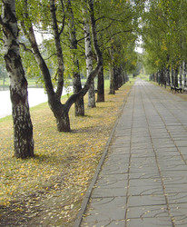 Similar image 22379356