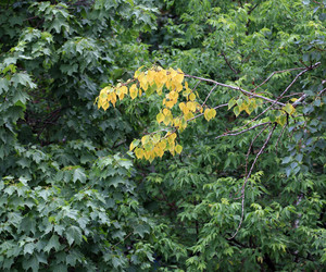 Similar image 22379416