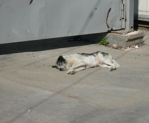 Similar image 22379462