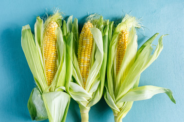 Similar image 22348880