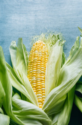 Similar image 22348881