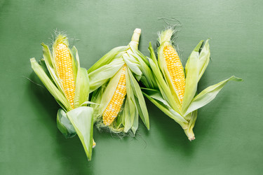 Similar image 22348884