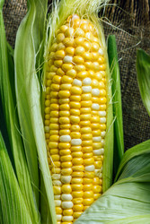 Similar image 22348894