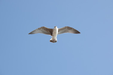 Similar image 22372557