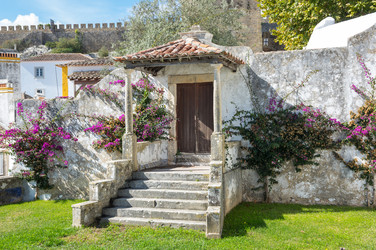 Similar image 22372600