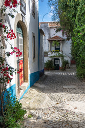 Similar image 22372601