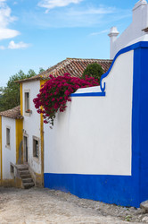 Similar image 22372616