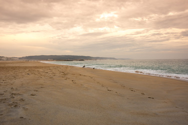 Similar image 22349946