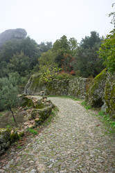 Similar image 22353433