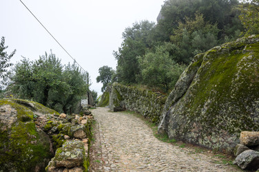 Similar image 22353442