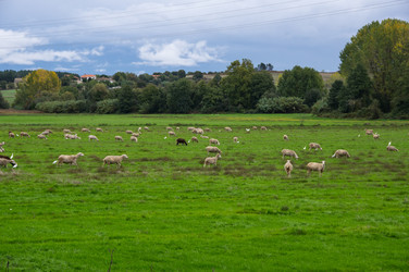 Similar image 22353453