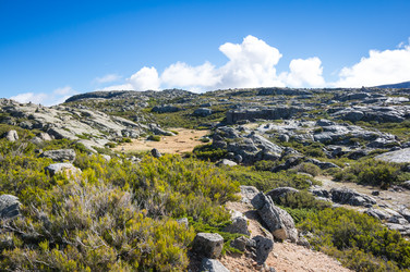 Similar image 22353468