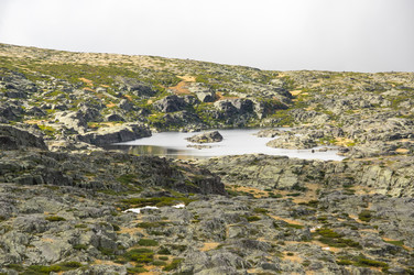 Similar image 22353480