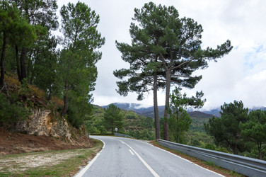 Similar image 22353490