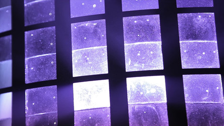 Similar image 22369035