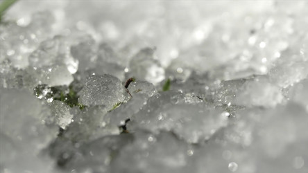 Similar image 22369894