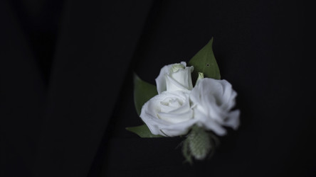 Similar image 22370037