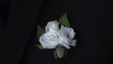 Similar image 22368991