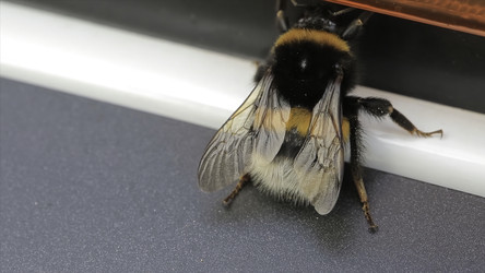 Similar image 22369113