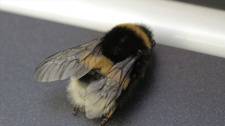 Similar image 22369156