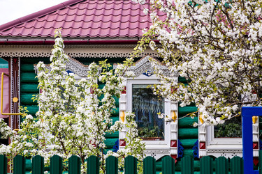 Similar image 22350310