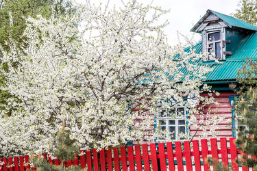 Similar image 22350313