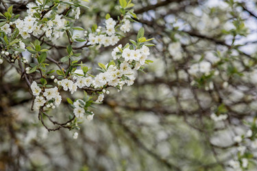 Similar image 22350322