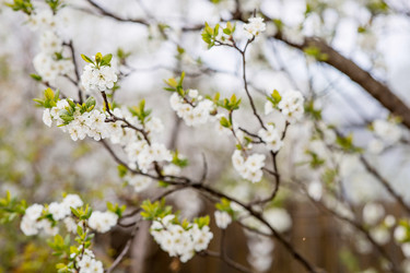 Similar image 22350325