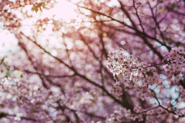 Similar image 22350334