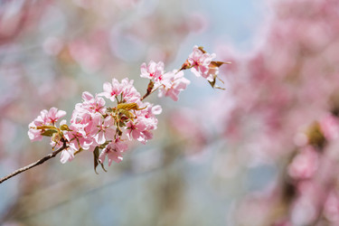 Similar image 22350348