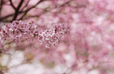 Similar image 22350352