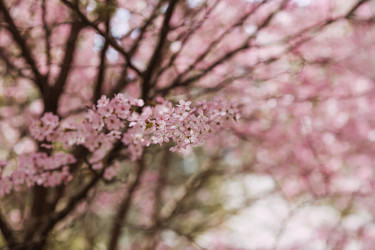 Similar image 22350358