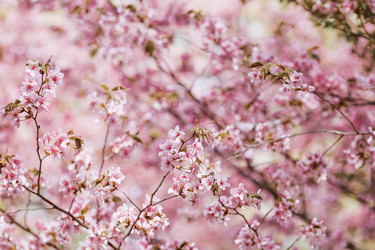 Similar image 22350361