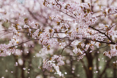 Similar image 22350363