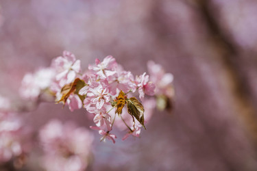 Similar image 22350365