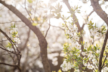 Similar image 22350366