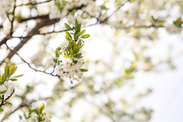 Similar image 22350367