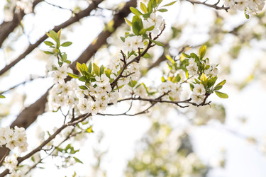 Similar image 22350368