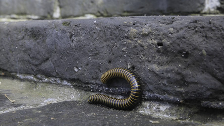 Similar image 22370305